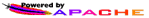 Apache is the secure choice for web hosting
